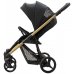 Прогулянкова коляска Bebetto Rainbow Gold 01 Прогулянкова коляска Bebetto Rainbow Gold 01
