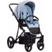 Коляска 2в1 Bebetto Flavio Pro 08 (екошкіра)