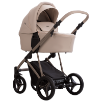 Коляска 2в1 Bebetto Pelpasso Pro 02 Kashmir